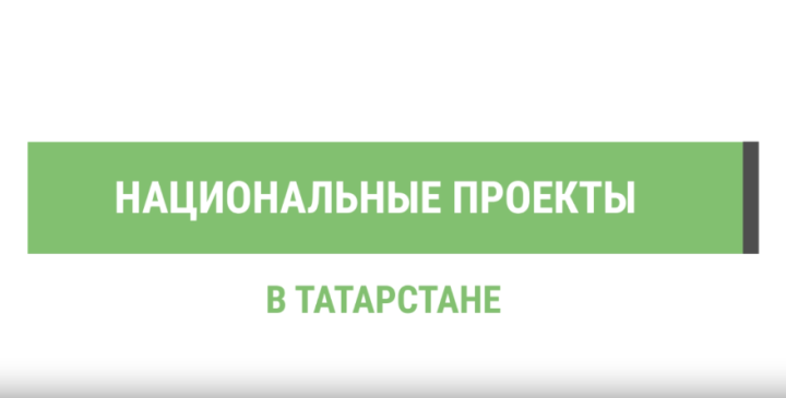 Заготовка семян для леса в Татарстане: 23 тонны шишек собрано в рамках нацпроекта «Экологическое благополучие»