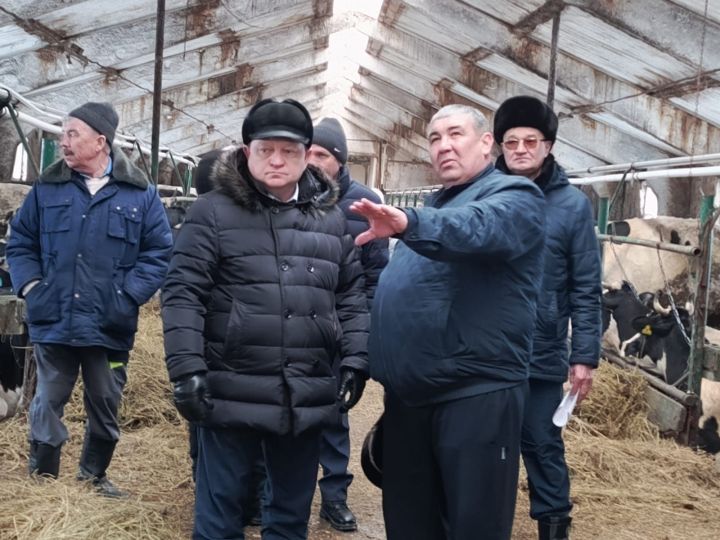 Фермер Фанил Гарифуллин планирует расширить хозяйство до 150 коров
