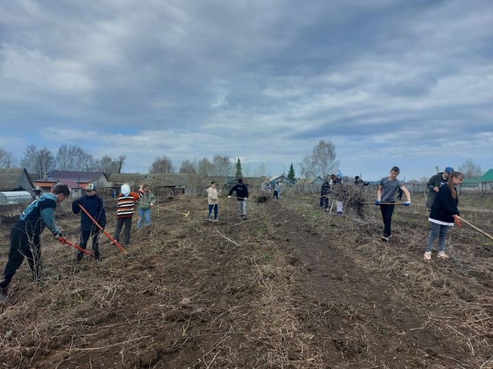 «Сад памяти» в Старых Челнах: школьники бережно хранят традиции