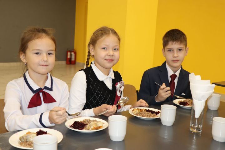 В Татарстане повысили расходы на бесплатное питание для младших школьников