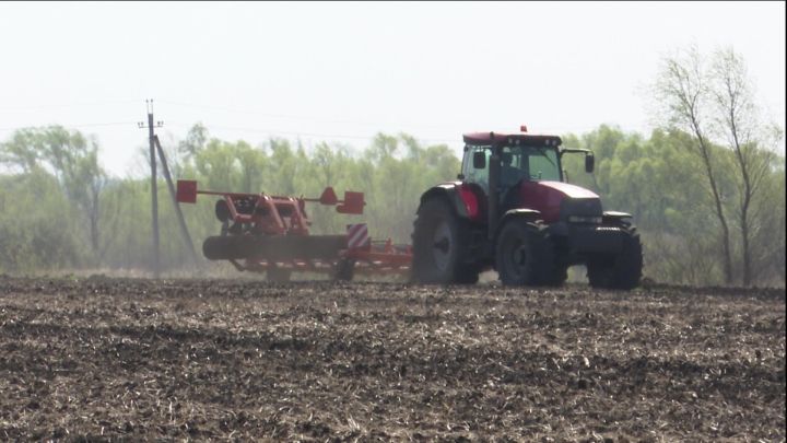 В хозяйствах Нурлатского района весенне-полевые работы в самом разгаре