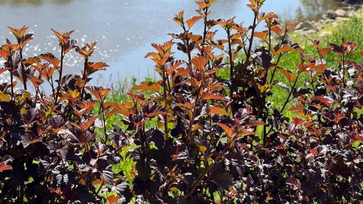 Погода в Нурлате 28 мая