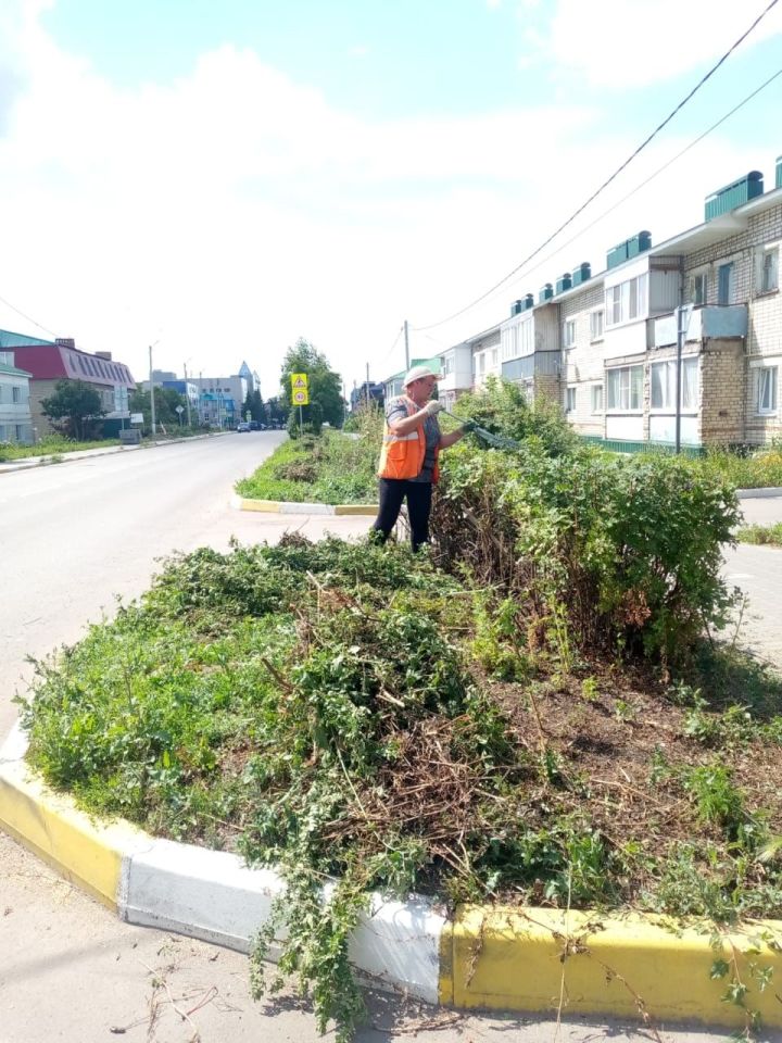 УК ЖКХ привело в порядок кустарники на улице Советской