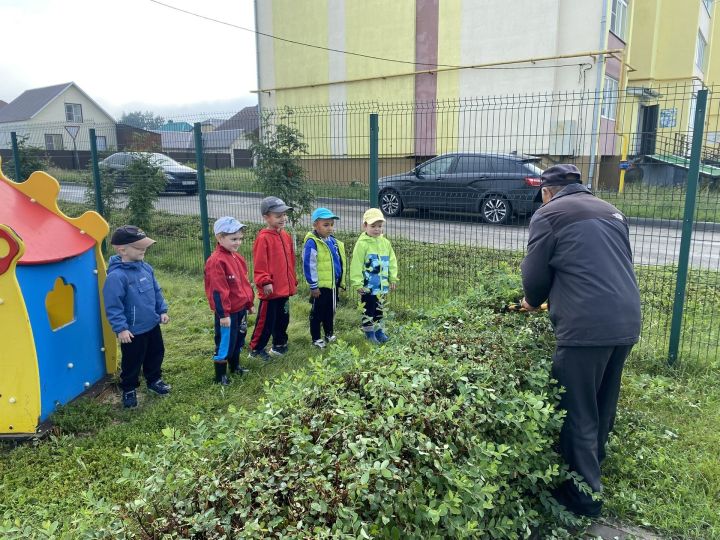 Юные нурлатцы из «Нурлар» открыли секрет двора: волшебство в руках дворника!