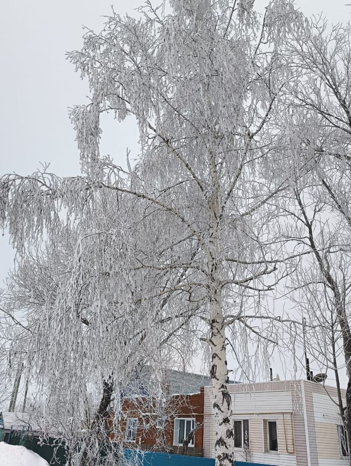 Погода в Нурлате 15 января