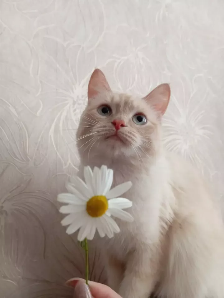 Календарь праздников на 20 февраля 2026 года