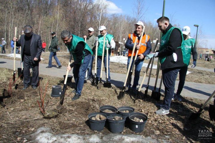 В Татарстане дан старт конкурсу «Эковесна-2026»: поддержка пернатых и единства народов