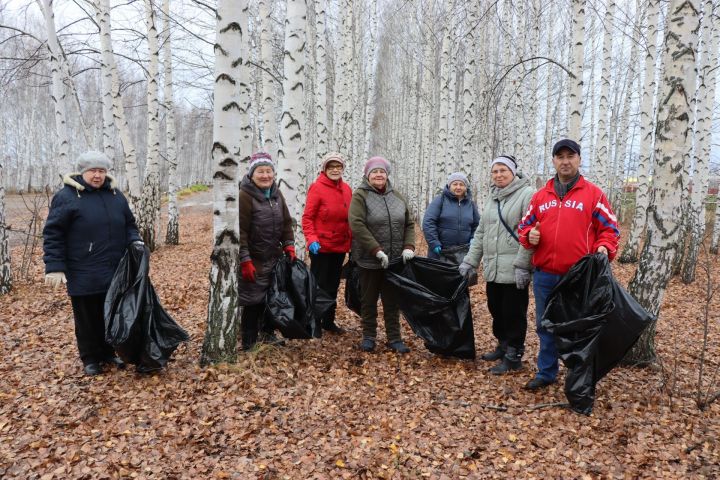 Более 493 тысяч пенсионеров Татарстана стали участниками программы «Активное долголетие»