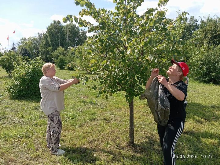 Нурлатта махсус хәрби операция сугышчылары өчен юкә чәе әзерләделәр