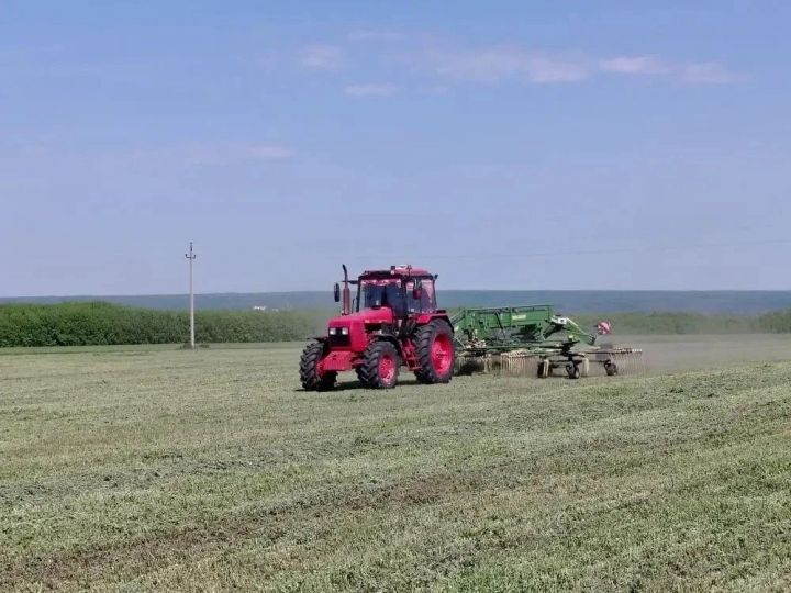 Нурлат районы хуҗалыкларында азык әзерләү кампаниясе дәвам итә