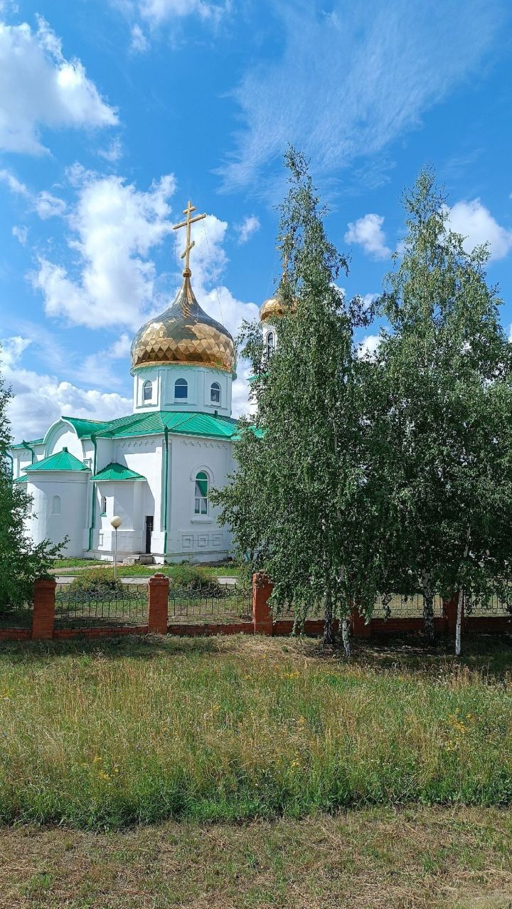 День нездоровой пищи, Казанская икона и Прокопий Жнец: праздники 21 июля