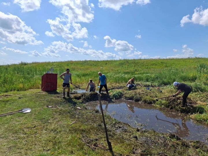 Вишневая Поляна авылында “Чишмәләр” дип аталган экологик акция узды