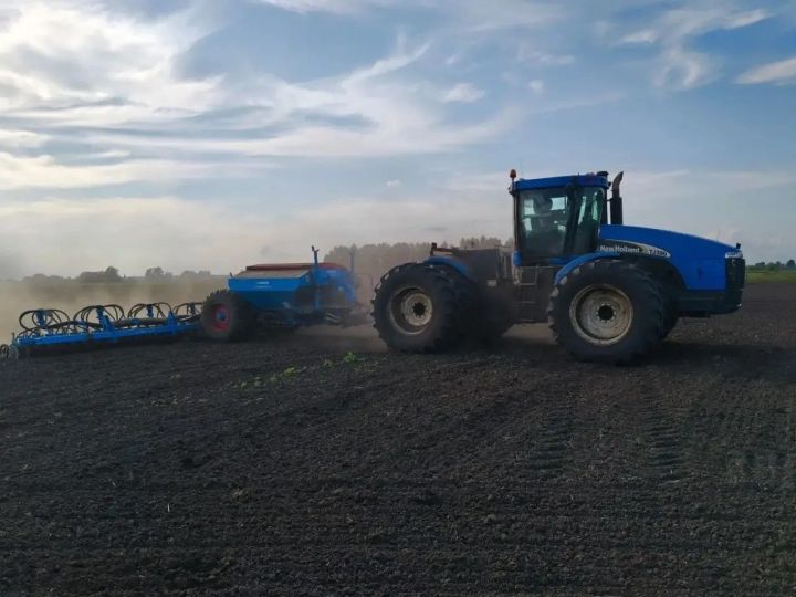 В Нурлатском районе приступили к севу озимого рапса