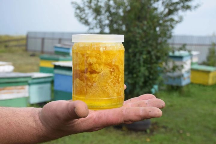 Район ветеринарлары умартачыларны ветеринария кагыйдәләрен истә тотарга чакыралар
