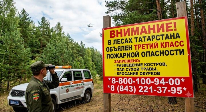 В лесах Татарстана объявлен третий класс пожарной опасности