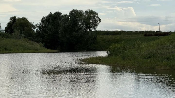 День Воздушного Флота России празднуют 16 августа