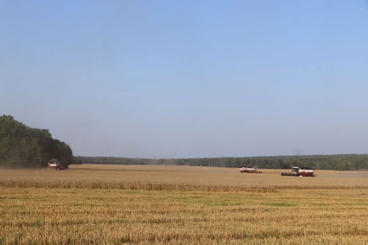 День военного медика и Успение: праздники 28 августа