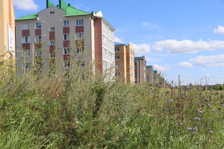 Рейд төркеме Нурлат урамнарының чисталыгын тикшерде