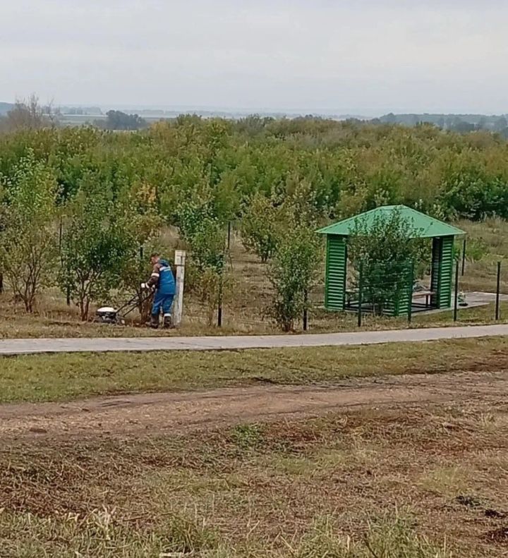 У родника «Зуфар бабай чишмэсе» навели порядок